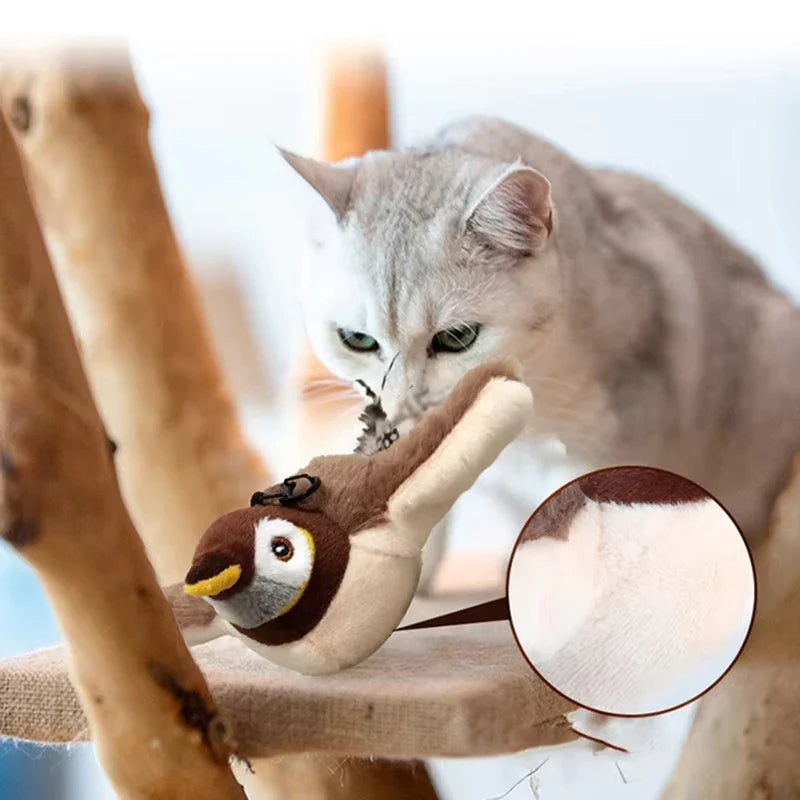 😺 Toys for cats
