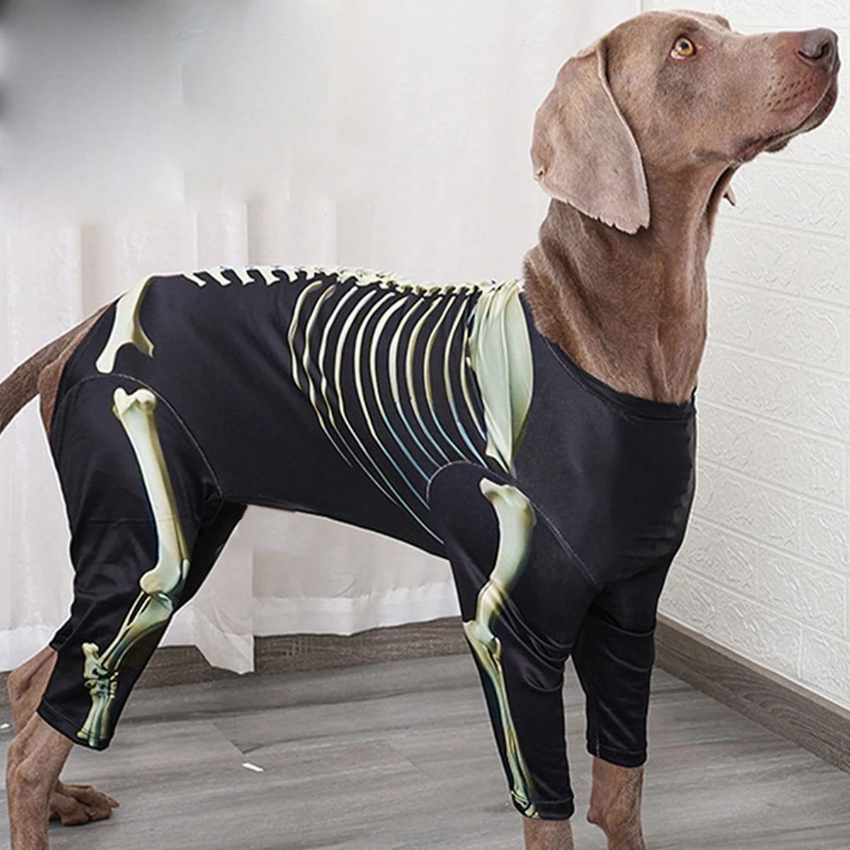 Pet Dog Halloween Costume Skeleton Dog Transformation Outfit Comfortable and Cool Large Dog Clothes Pet Supplies