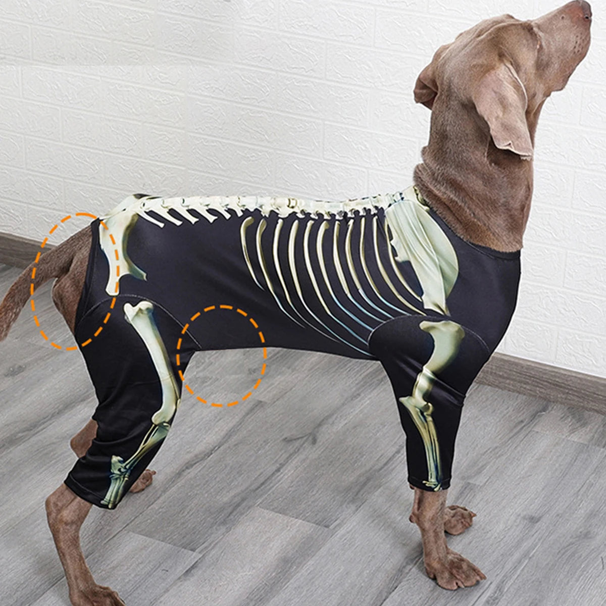 Pet Dog Halloween Costume Skeleton Dog Transformation Outfit Comfortable and Cool Large Dog Clothes Pet Supplies