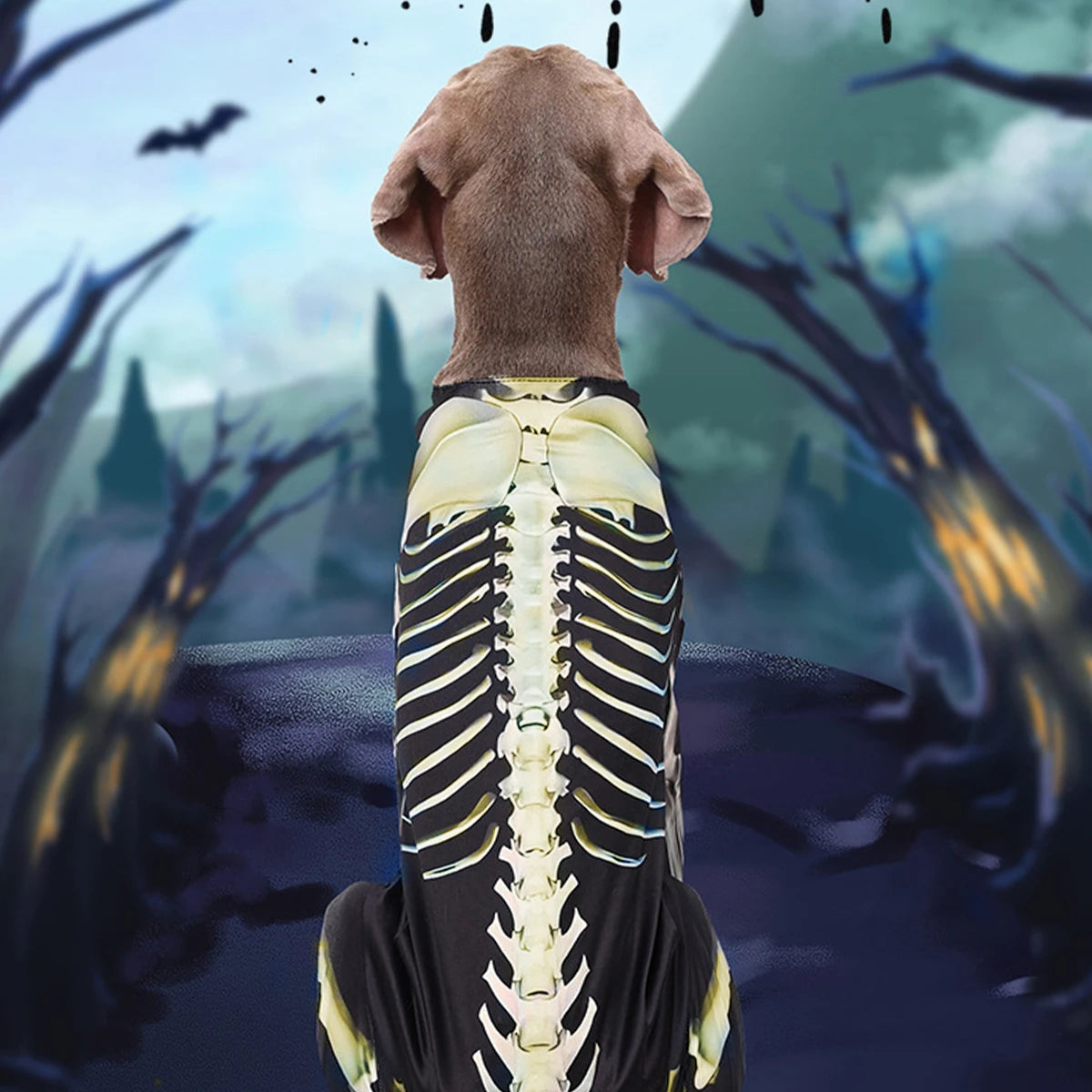 Pet Dog Halloween Costume Skeleton Dog Transformation Outfit Comfortable and Cool Large Dog Clothes Pet Supplies