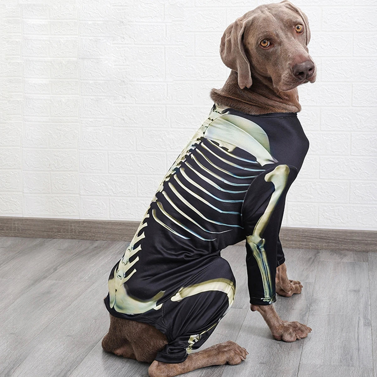 Pet Dog Halloween Costume Skeleton Dog Transformation Outfit Comfortable and Cool Large Dog Clothes Pet Supplies