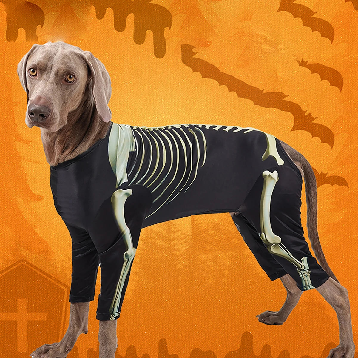Pet Dog Halloween Costume Skeleton Dog Transformation Outfit Comfortable and Cool Large Dog Clothes Pet Supplies